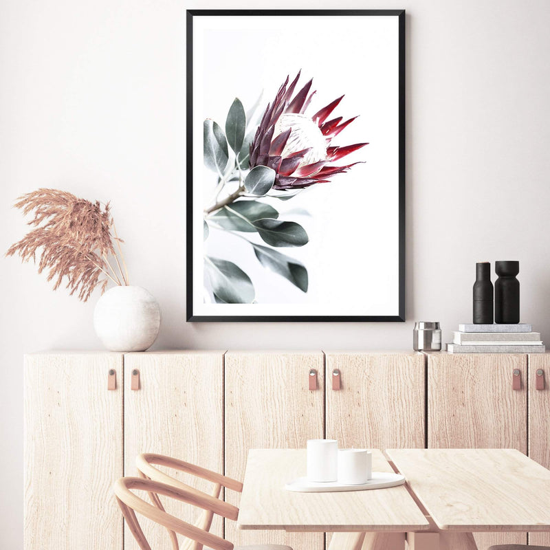 Red King Protea II-The Paper Tree-floral,flower,flowers,portrait,premium art print,protea,protea flower,protea flowers,red,red flower,red protea,red protea flower,wall art,Wall_Art,Wall_Art_Prints