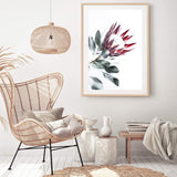 Red King Protea II-The Paper Tree-floral,flower,flowers,portrait,premium art print,protea,protea flower,protea flowers,red,red flower,red protea,red protea flower,wall art,Wall_Art,Wall_Art_Prints