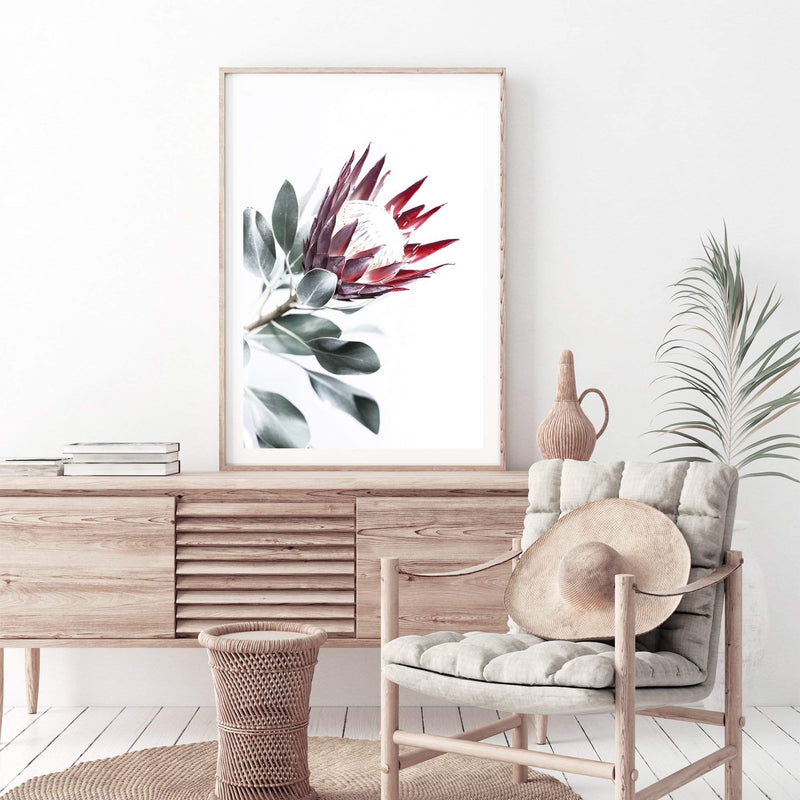 Red King Protea II-The Paper Tree-floral,flower,flowers,portrait,premium art print,protea,protea flower,protea flowers,red,red flower,red protea,red protea flower,wall art,Wall_Art,Wall_Art_Prints