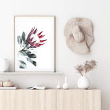 Red King Protea II-The Paper Tree-floral,flower,flowers,portrait,premium art print,protea,protea flower,protea flowers,red,red flower,red protea,red protea flower,wall art,Wall_Art,Wall_Art_Prints