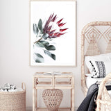 Red King Protea II-The Paper Tree-floral,flower,flowers,portrait,premium art print,protea,protea flower,protea flowers,red,red flower,red protea,red protea flower,wall art,Wall_Art,Wall_Art_Prints