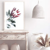 Red King Protea II-The Paper Tree-floral,flower,flowers,portrait,premium art print,protea,protea flower,protea flowers,red,red flower,red protea,red protea flower,wall art,Wall_Art,Wall_Art_Prints