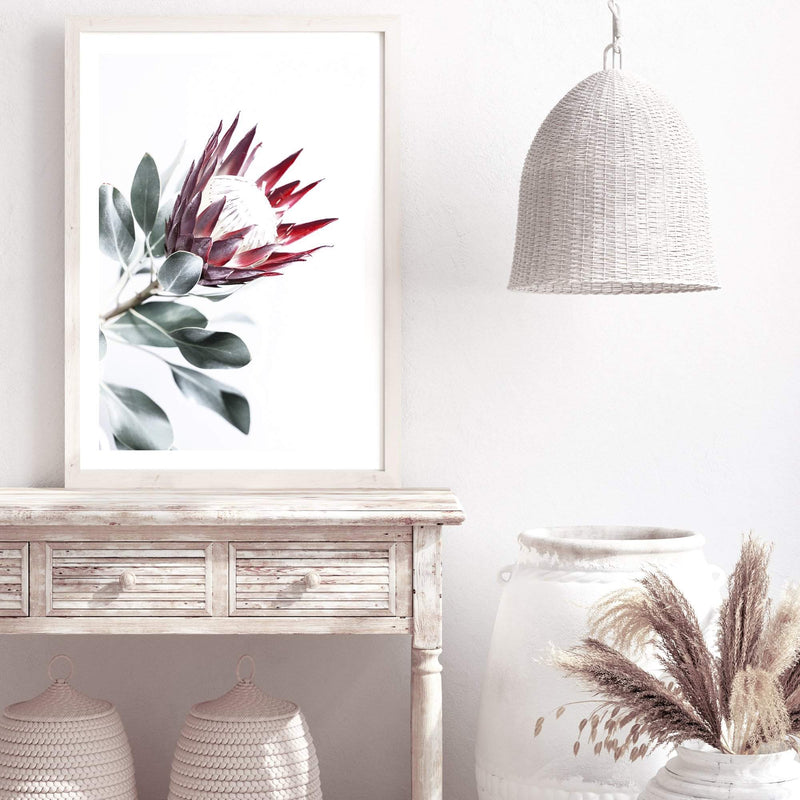 Red King Protea II-The Paper Tree-floral,flower,flowers,portrait,premium art print,protea,protea flower,protea flowers,red,red flower,red protea,red protea flower,wall art,Wall_Art,Wall_Art_Prints