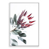 Red King Protea II-The Paper Tree-floral,flower,flowers,portrait,premium art print,protea,protea flower,protea flowers,red,red flower,red protea,red protea flower,wall art,Wall_Art,Wall_Art_Prints