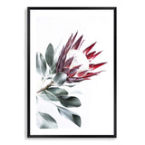 Red King Protea II-The Paper Tree-floral,flower,flowers,portrait,premium art print,protea,protea flower,protea flowers,red,red flower,red protea,red protea flower,wall art,Wall_Art,Wall_Art_Prints