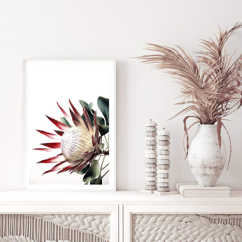 Red King Protea-The Paper Tree-floral,flower,flowers,portrait,premium art print,protea,protea flower,protea flowers,red,red flower,red protea,red protea flower,wall art,Wall_Art,Wall_Art_Prints