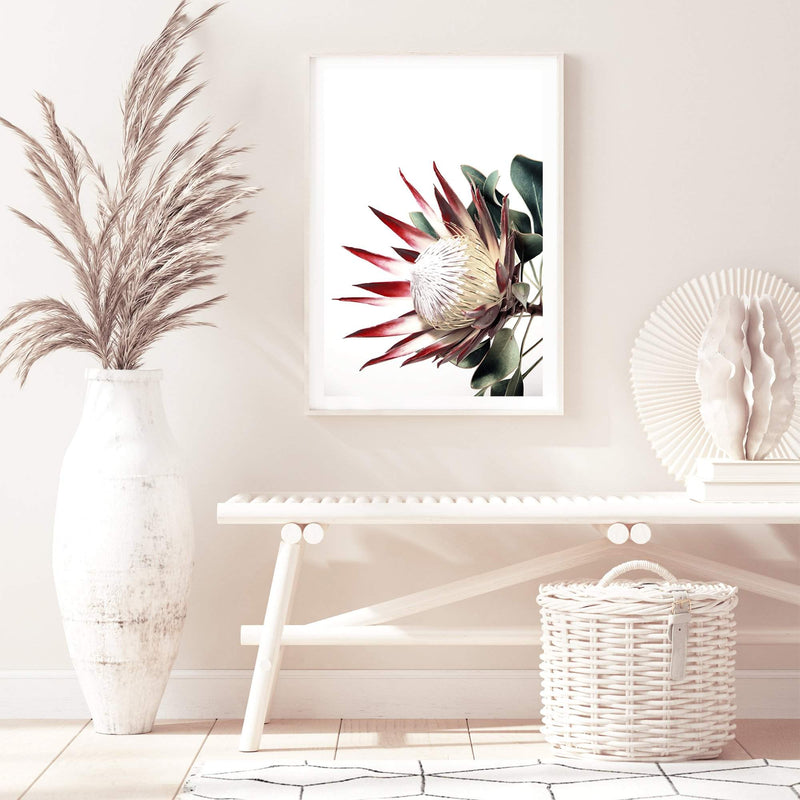 Red King Protea-The Paper Tree-floral,flower,flowers,portrait,premium art print,protea,protea flower,protea flowers,red,red flower,red protea,red protea flower,wall art,Wall_Art,Wall_Art_Prints