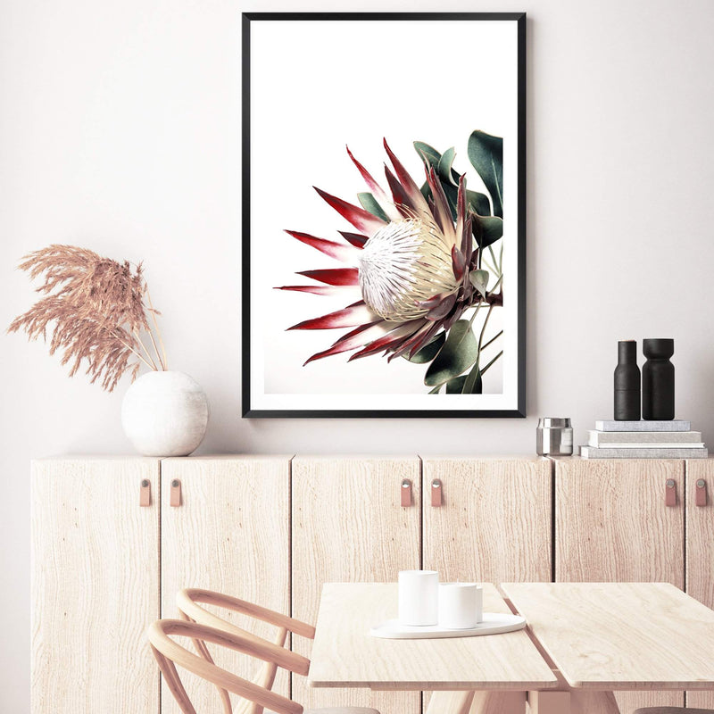 Red King Protea-The Paper Tree-floral,flower,flowers,portrait,premium art print,protea,protea flower,protea flowers,red,red flower,red protea,red protea flower,wall art,Wall_Art,Wall_Art_Prints