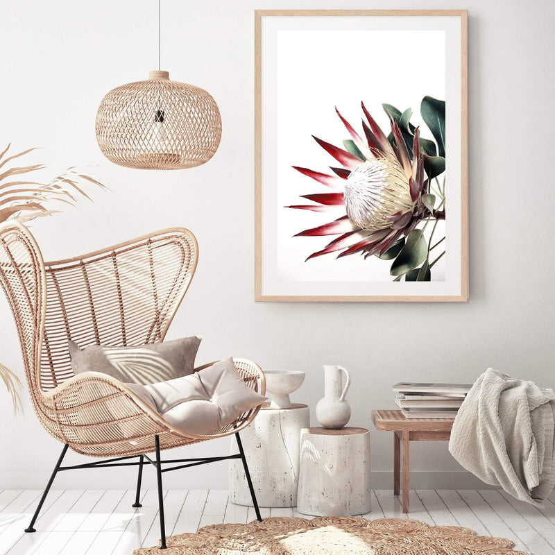 Red King Protea-The Paper Tree-floral,flower,flowers,portrait,premium art print,protea,protea flower,protea flowers,red,red flower,red protea,red protea flower,wall art,Wall_Art,Wall_Art_Prints