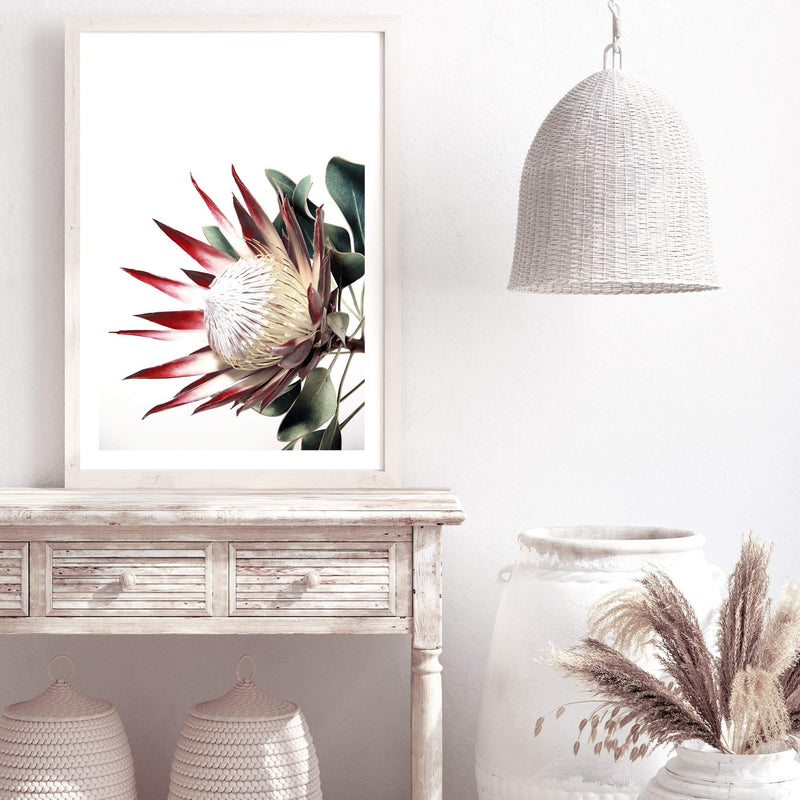 Red King Protea-The Paper Tree-floral,flower,flowers,portrait,premium art print,protea,protea flower,protea flowers,red,red flower,red protea,red protea flower,wall art,Wall_Art,Wall_Art_Prints