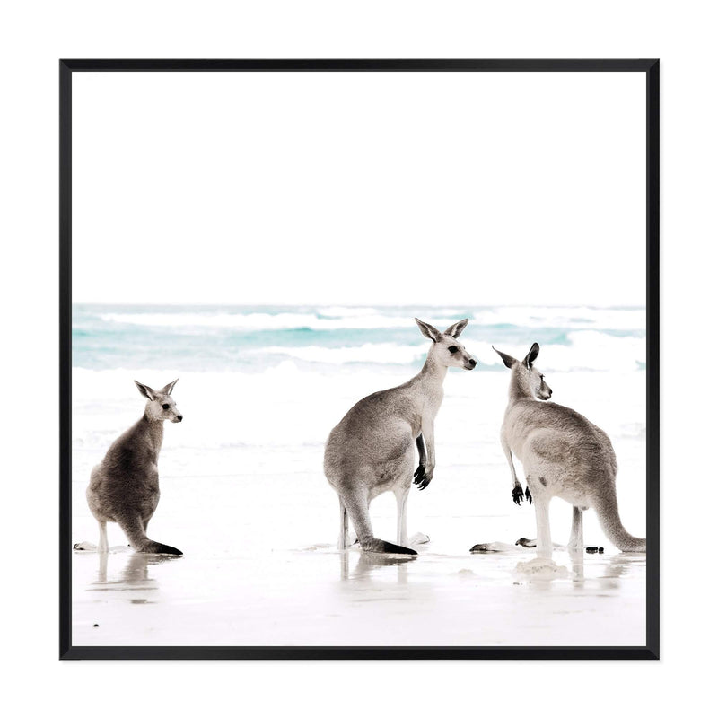 Kangaroo's On The Beach Square-The Paper Tree-animal,Art Print,art prints,Artwork,australia,australian,australian native,australiana,beach,boho,coastal,framed,hamptons,kangaroo,kangaroo's,Muted Tone,native,neutral,ocean,premium art print,square,wall art,Wall_Art,Wall_Art_Prints,waves,white