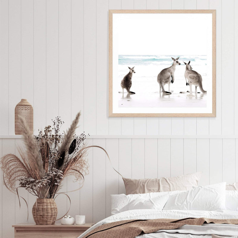 Kangaroo's On The Beach Square-The Paper Tree-animal,Art Print,art prints,Artwork,australia,australian,australian native,australiana,beach,boho,coastal,framed,hamptons,kangaroo,kangaroo's,Muted Tone,native,neutral,ocean,premium art print,square,wall art,Wall_Art,Wall_Art_Prints,waves,white