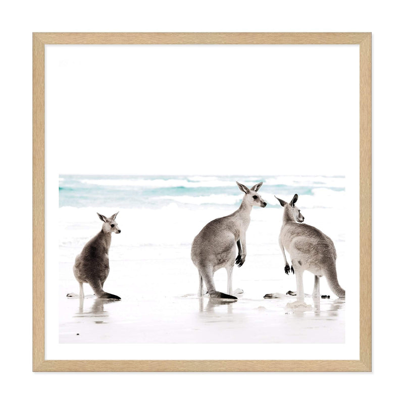 Kangaroo's On The Beach Square-The Paper Tree-animal,Art Print,art prints,Artwork,australia,australian,australian native,australiana,beach,boho,coastal,framed,hamptons,kangaroo,kangaroo's,Muted Tone,native,neutral,ocean,premium art print,square,wall art,Wall_Art,Wall_Art_Prints,waves,white