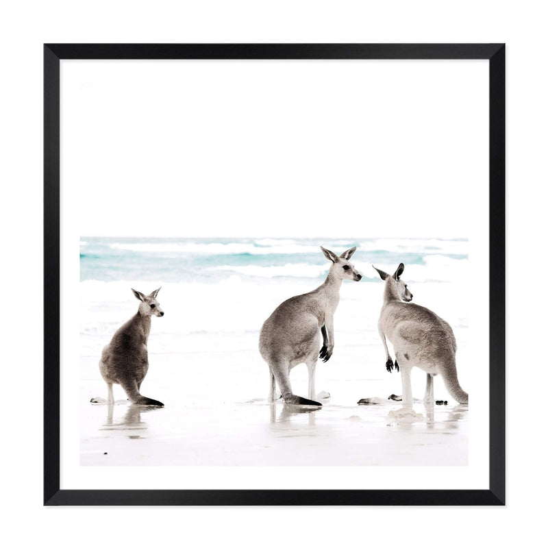 Kangaroo's On The Beach Square-The Paper Tree-animal,Art Print,art prints,Artwork,australia,australian,australian native,australiana,beach,boho,coastal,framed,hamptons,kangaroo,kangaroo's,Muted Tone,native,neutral,ocean,premium art print,square,wall art,Wall_Art,Wall_Art_Prints,waves,white