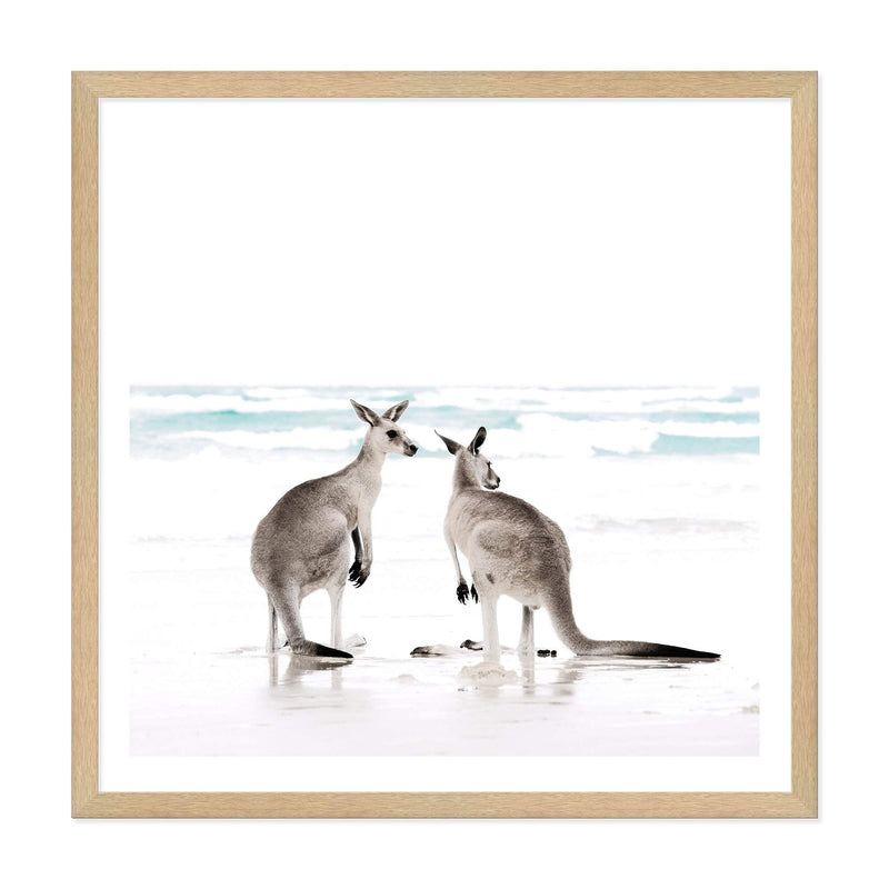 Kangaroo's On The Beach Square II-The Paper Tree-animal,Art Print,art prints,Artwork,australia,australian,australian native,australiana,beach,boho,coastal,framed,hamptons,kangaroo,kangaroo's,Muted Tone,native,neutral,ocean,premium art print,square,wall art,Wall_Art,Wall_Art_Prints,waves,white