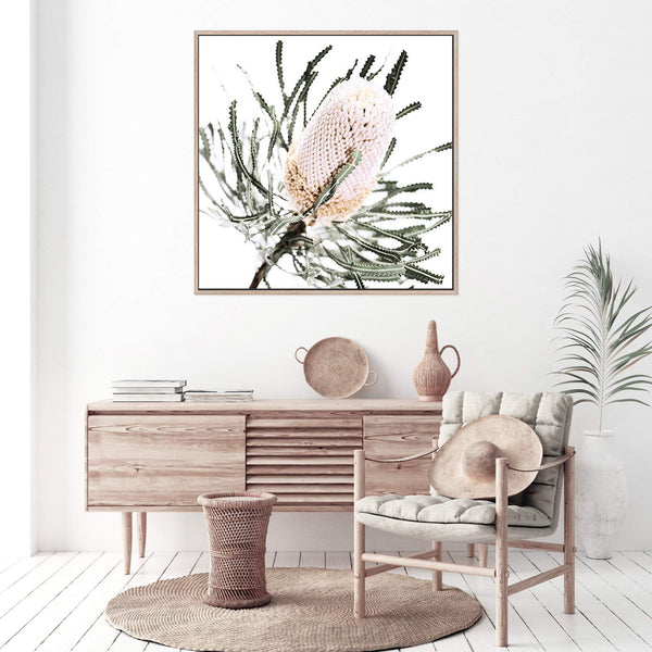 Australian Native Banksia Flower Square-The Paper Tree-Art Print,art prints,Artwork,australia,australian,australian native,australiana,Banksia,Banksia flower,botanical,floral,flower,framed,green,hamptons,Muted Tone,native,neutral,premium art print,square,wall art,Wall_Art,Wall_Art_Prints,yellow,yellow flower