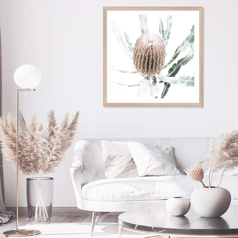 Australian Native Banksia Flower Square II-The Paper Tree-Art Print,art prints,Artwork,australia,australian,australian native,australiana,Banksia,Banksia flower,botanical,floral,flower,framed,green,hamptons,Muted Tone,native,neutral,premium art print,square,wall art,Wall_Art,Wall_Art_Prints,yellow,yellow flower