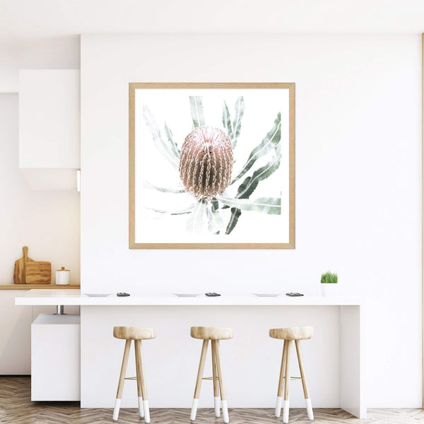 Australian Native Banksia Flower Square II-The Paper Tree-Art Print,art prints,Artwork,australia,australian,australian native,australiana,Banksia,Banksia flower,botanical,floral,flower,framed,green,hamptons,Muted Tone,native,neutral,premium art print,square,wall art,Wall_Art,Wall_Art_Prints,yellow,yellow flower