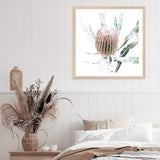 Australian Native Banksia Flower Square II-The Paper Tree-Art Print,art prints,Artwork,australia,australian,australian native,australiana,Banksia,Banksia flower,botanical,floral,flower,framed,green,hamptons,Muted Tone,native,neutral,premium art print,square,wall art,Wall_Art,Wall_Art_Prints,yellow,yellow flower