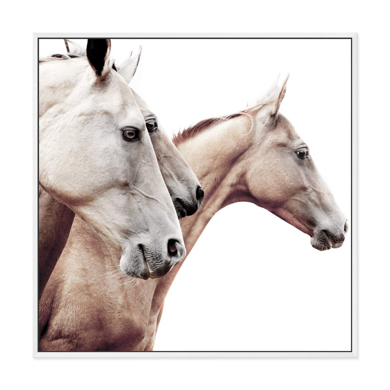 Palomino Horses Square-The Paper Tree-animal,Art Print,art prints,Artwork,beige,boho,cream,framed,hamptons,horse,horses,neutral,palomino,premium art print,square,stallion,wall art,Wall_Art,Wall_Art_Prints