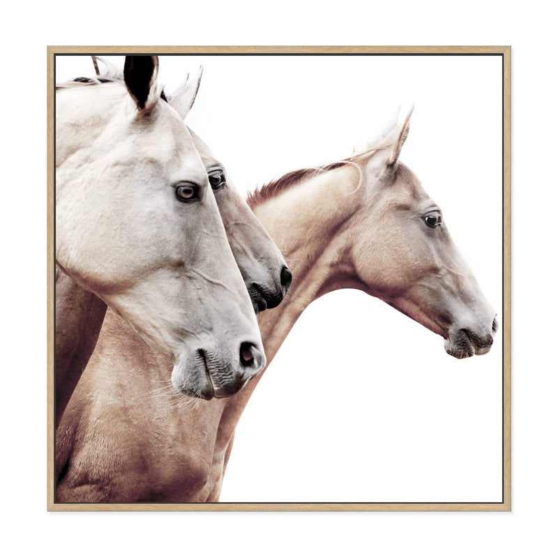 Palomino Horses Square-The Paper Tree-animal,Art Print,art prints,Artwork,beige,boho,cream,framed,hamptons,horse,horses,neutral,palomino,premium art print,square,stallion,wall art,Wall_Art,Wall_Art_Prints