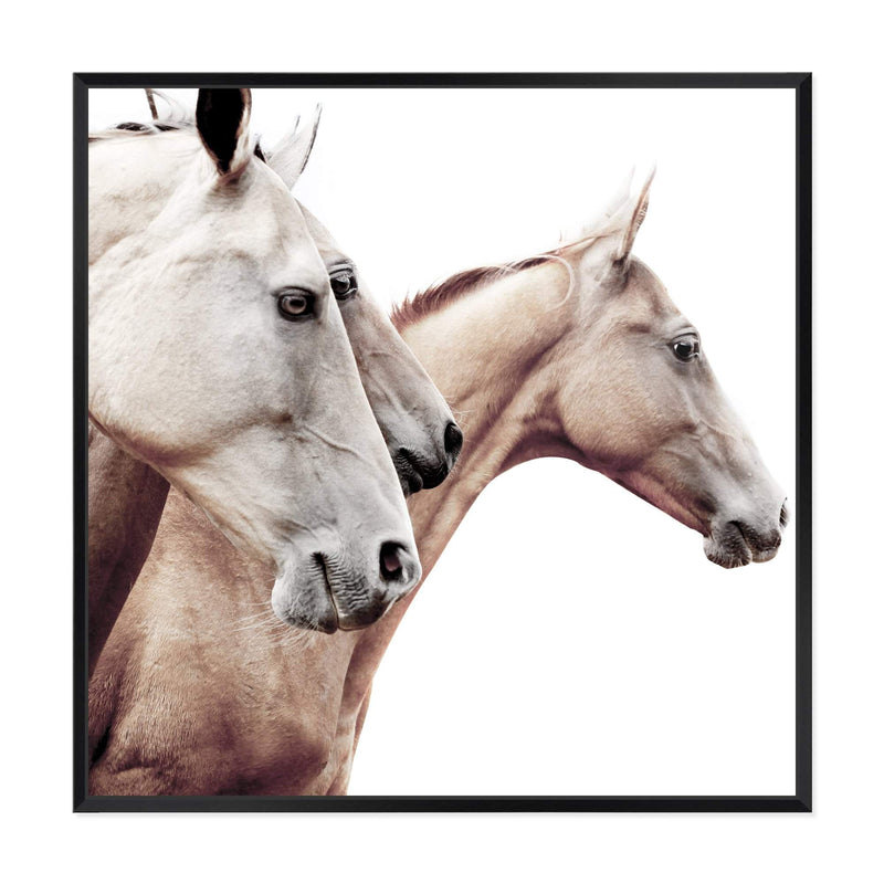 Palomino Horses Square-The Paper Tree-animal,Art Print,art prints,Artwork,beige,boho,cream,framed,hamptons,horse,horses,neutral,palomino,premium art print,square,stallion,wall art,Wall_Art,Wall_Art_Prints