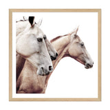 Palomino Horses Square-The Paper Tree-animal,Art Print,art prints,Artwork,beige,boho,cream,framed,hamptons,horse,horses,neutral,palomino,premium art print,square,stallion,wall art,Wall_Art,Wall_Art_Prints