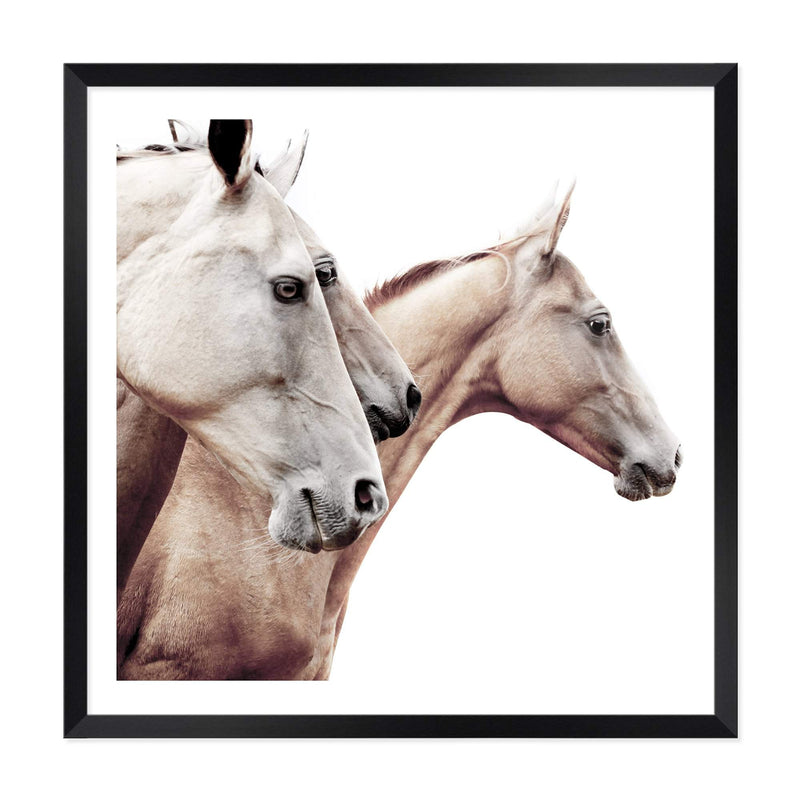 Palomino Horses Square-The Paper Tree-animal,Art Print,art prints,Artwork,beige,boho,cream,framed,hamptons,horse,horses,neutral,palomino,premium art print,square,stallion,wall art,Wall_Art,Wall_Art_Prints