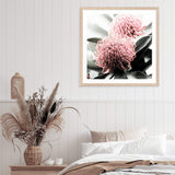 Australian Native Waratah Flower Square II-The Paper Tree-Art Print,art prints,Artwork,australia,australian,australian native,australiana,botanical,floral,flower,framed,green,muted tone,native,pink,premium art print,red,red flower,square,wall art,Wall_Art,Wall_Art_Prints,waratah,waratah flower