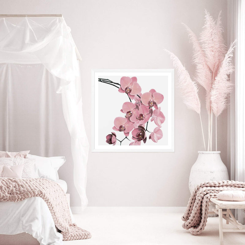 Peach Orchid Flowers Square-The Paper Tree-Art Print,art prints,Artwork,floral,flower,framed,orchid,orchid flower,peach,pink,premium art print,square,wall art,Wall_Art,Wall_Art_Prints