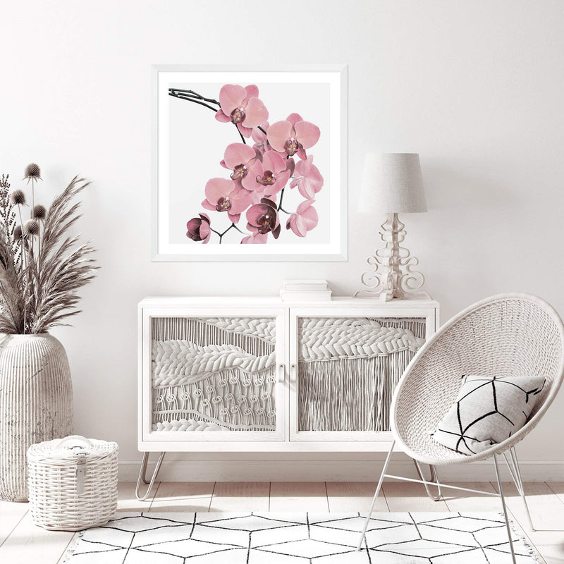 Peach Orchid Flowers Square-The Paper Tree-Art Print,art prints,Artwork,floral,flower,framed,orchid,orchid flower,peach,pink,premium art print,square,wall art,Wall_Art,Wall_Art_Prints