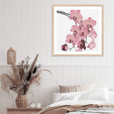 Peach Orchid Flowers Square-The Paper Tree-Art Print,art prints,Artwork,floral,flower,framed,orchid,orchid flower,peach,pink,premium art print,square,wall art,Wall_Art,Wall_Art_Prints