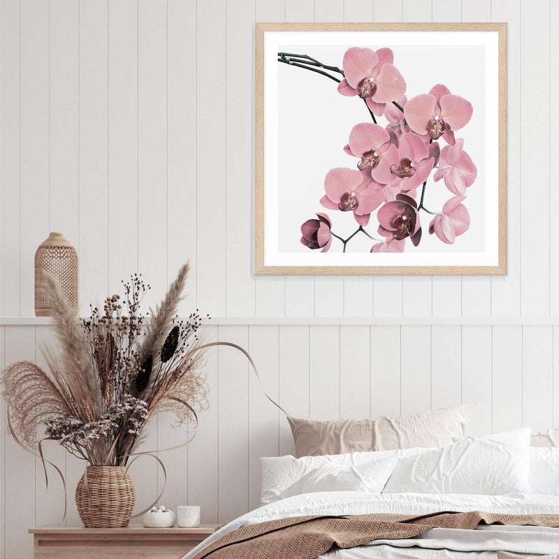 Peach Orchid Flowers Square-The Paper Tree-Art Print,art prints,Artwork,floral,flower,framed,orchid,orchid flower,peach,pink,premium art print,square,wall art,Wall_Art,Wall_Art_Prints