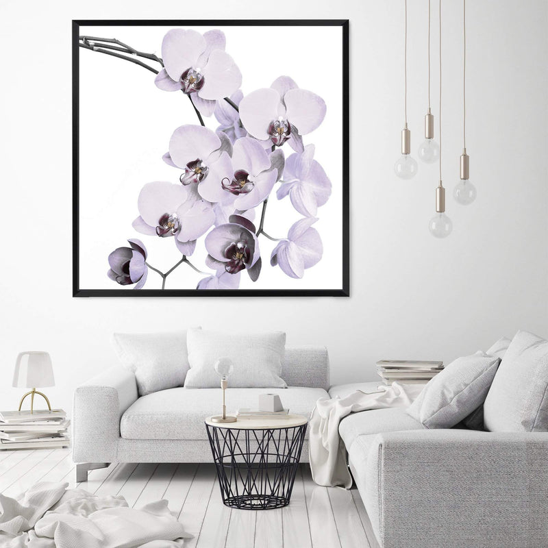 White Orchid Flowers Square-The Paper Tree-Art Print,art prints,Artwork,floral,flower,framed,hamptons,neutral,orchid,orchid flower,premium art print,square,wall art,Wall_Art,Wall_Art_Prints,white