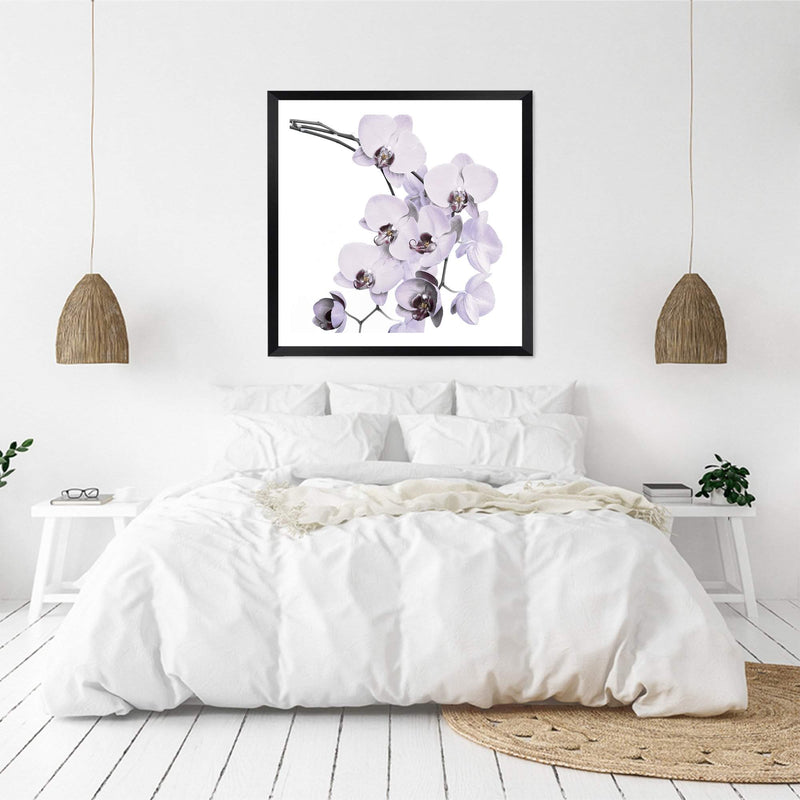 White Orchid Flowers Square-The Paper Tree-Art Print,art prints,Artwork,floral,flower,framed,hamptons,neutral,orchid,orchid flower,premium art print,square,wall art,Wall_Art,Wall_Art_Prints,white