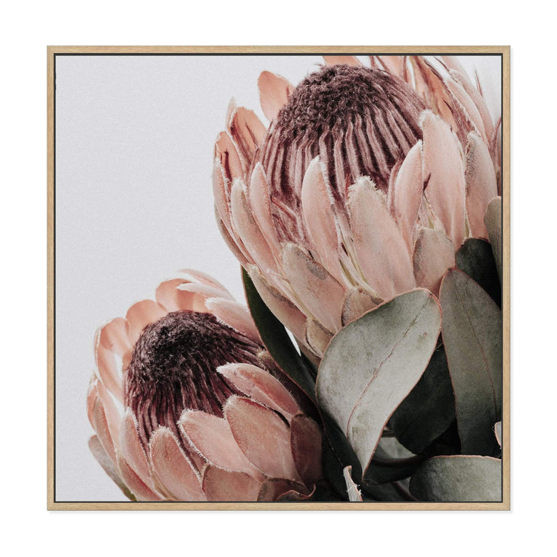 Peach Protea Flower Square II-The Paper Tree-Art Print,art prints,Artwork,australian native,boho,botanical,floral,flower,framed,green,Muted Tone,peach,peach protea,premium art print,protea,protea flower,square,wall art,Wall_Art,Wall_Art_Prints