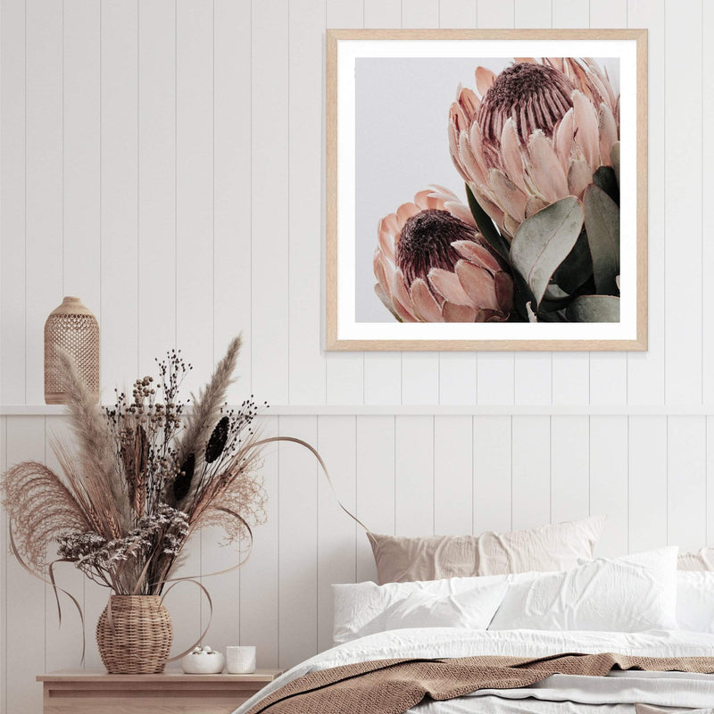 Peach Protea Flower Square II-The Paper Tree-Art Print,art prints,Artwork,australian native,boho,botanical,floral,flower,framed,green,Muted Tone,peach,peach protea,premium art print,protea,protea flower,square,wall art,Wall_Art,Wall_Art_Prints