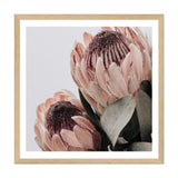 Peach Protea Flower Square II-The Paper Tree-Art Print,art prints,Artwork,australian native,boho,botanical,floral,flower,framed,green,Muted Tone,peach,peach protea,premium art print,protea,protea flower,square,wall art,Wall_Art,Wall_Art_Prints