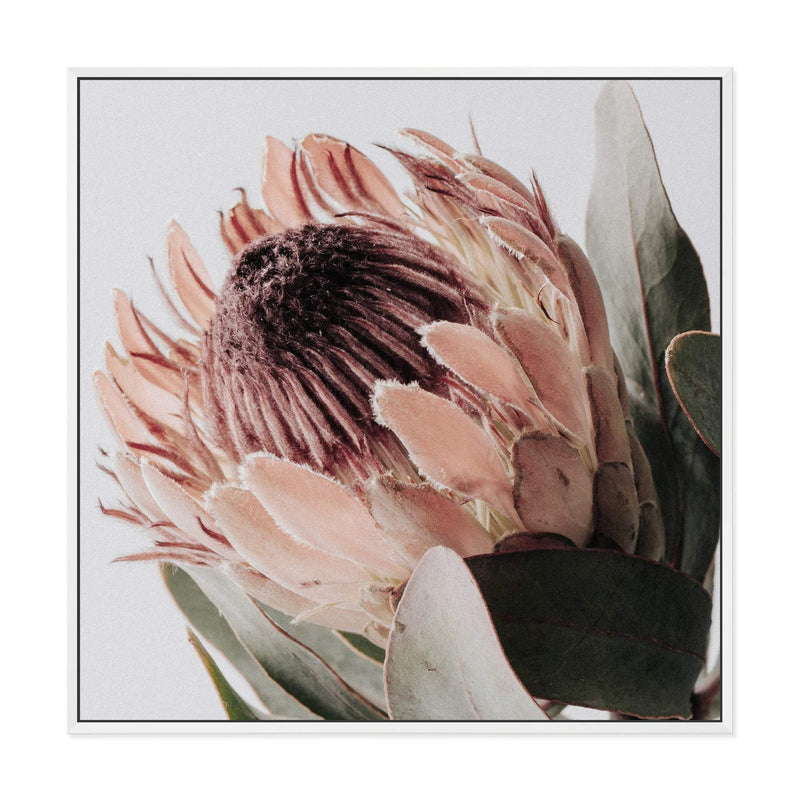 Peach Protea Flower Square-The Paper Tree-Art Print,art prints,Artwork,australian native,boho,botanical,floral,flower,framed,green,Muted Tone,peach,peach protea,premium art print,protea,protea flower,square,wall art,Wall_Art,Wall_Art_Prints