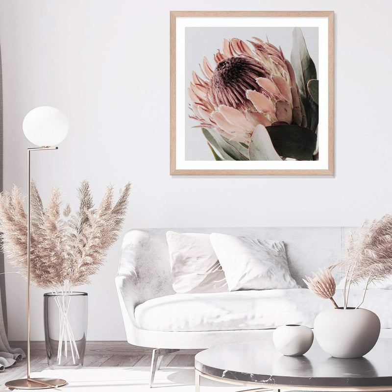 Peach Protea Flower Square-The Paper Tree-Art Print,art prints,Artwork,australian native,boho,botanical,floral,flower,framed,green,Muted Tone,peach,peach protea,premium art print,protea,protea flower,square,wall art,Wall_Art,Wall_Art_Prints