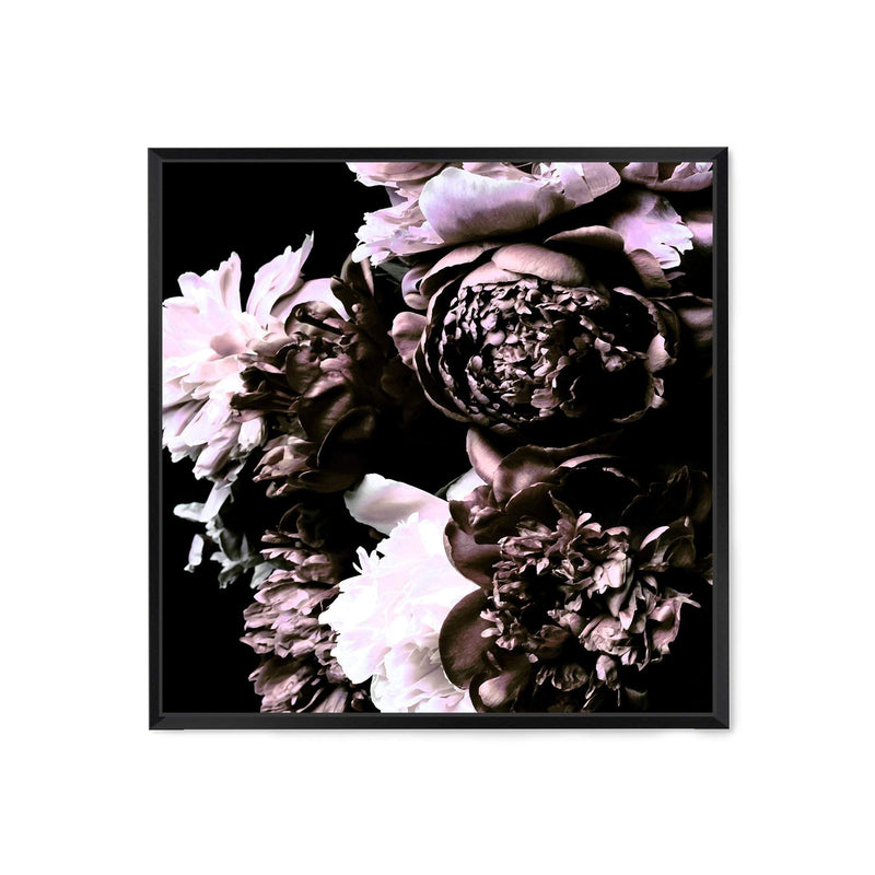 Shaded Florals Square-The Paper Tree-Art Print,art prints,Artwork,black,blooms,dark blooms,floral,flower,framed,peonies,peony,premium art print,purple,square,wall art,Wall_Art,Wall_Art_Prints,white