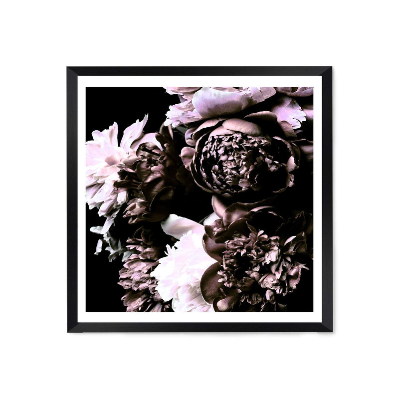 Shaded Florals Square-The Paper Tree-Art Print,art prints,Artwork,black,blooms,dark blooms,floral,flower,framed,peonies,peony,premium art print,purple,square,wall art,Wall_Art,Wall_Art_Prints,white