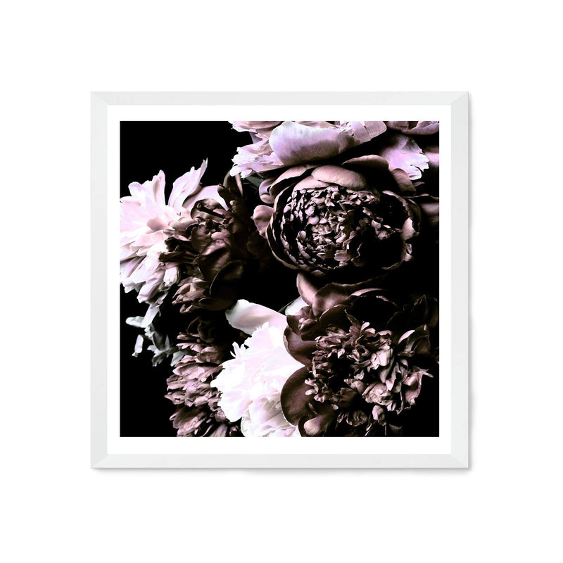 Shaded Florals Square-The Paper Tree-Art Print,art prints,Artwork,black,blooms,dark blooms,floral,flower,framed,peonies,peony,premium art print,purple,square,wall art,Wall_Art,Wall_Art_Prints,white