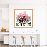 Australian Native Waratah Flower Square-The Paper Tree-Art Print,art prints,Artwork,australia,australian,australian native,australiana,botanical,floral,flower,framed,green,muted tone,native,pink,premium art print,red,red flower,square,wall art,Wall_Art,Wall_Art_Prints,waratah,waratah flower