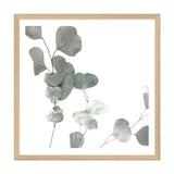 Australian Native Eucalyptus Leaves Square-The Paper Tree-Art Print,art prints,Artwork,australia,australian,australian native,australiana,botanical,eucalyptus,eucalyptus leaf,eucalyptus leaves,framed,green,gum,gum leaf,gum leaves,hamptons,Muted Tone,native,premium art print,square,wall art,Wall_Art,Wall_Art_Prints