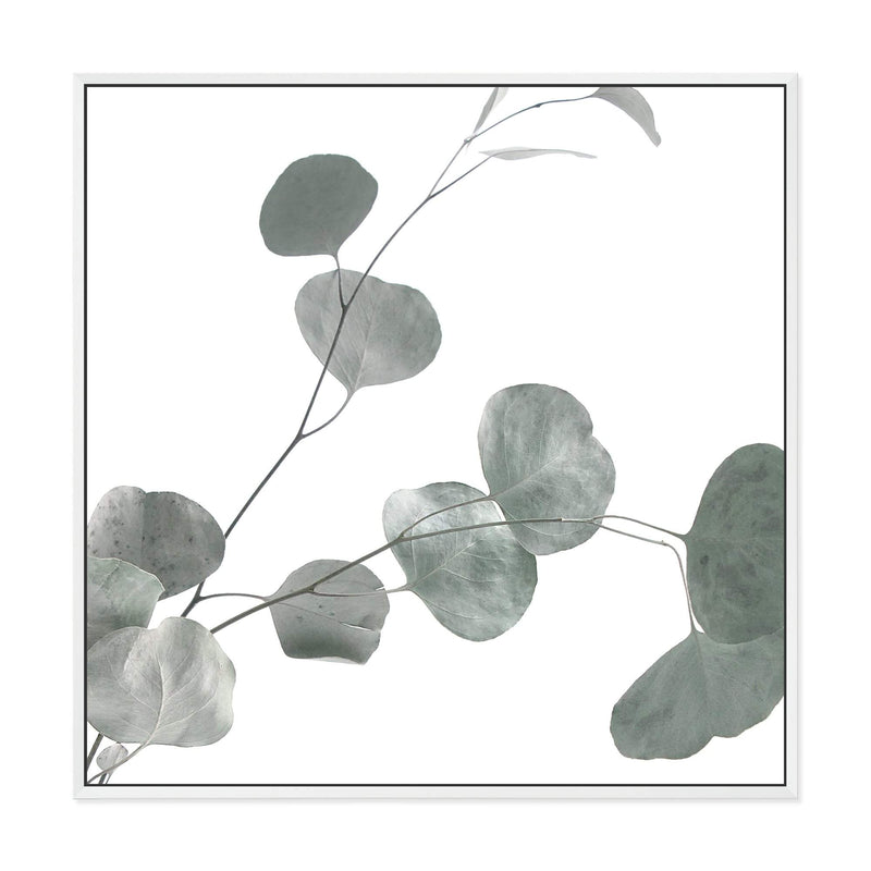 Australian Native Eucalyptus Leaves Square II-The Paper Tree-Art Print,art prints,Artwork,australia,australian,australian native,australiana,botanical,eucalyptus,eucalyptus leaf,eucalyptus leaves,framed,green,gum,gum leaf,gum leaves,hamptons,Muted Tone,native,premium art print,square,wall art,Wall_Art,Wall_Art_Prints