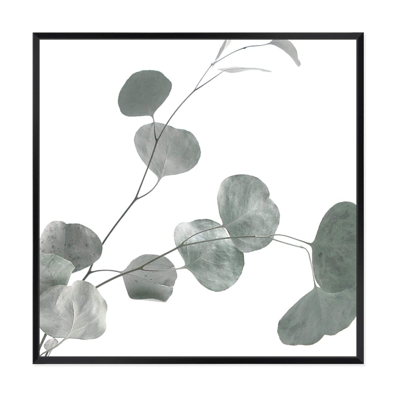 Australian Native Eucalyptus Leaves Square II-The Paper Tree-Art Print,art prints,Artwork,australia,australian,australian native,australiana,botanical,eucalyptus,eucalyptus leaf,eucalyptus leaves,framed,green,gum,gum leaf,gum leaves,hamptons,Muted Tone,native,premium art print,square,wall art,Wall_Art,Wall_Art_Prints