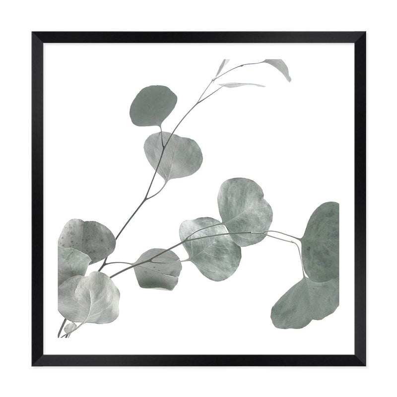 Australian Native Eucalyptus Leaves Square II-The Paper Tree-Art Print,art prints,Artwork,australia,australian,australian native,australiana,botanical,eucalyptus,eucalyptus leaf,eucalyptus leaves,framed,green,gum,gum leaf,gum leaves,hamptons,Muted Tone,native,premium art print,square,wall art,Wall_Art,Wall_Art_Prints