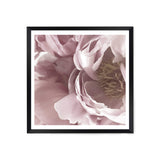 Dusty Pink Peonies Square-The Paper Tree-Art Print,art prints,Artwork,floral,flower,framed,peonies,peonies flower,peony,pink,premium art print,square,wall art,Wall_Art,Wall_Art_Prints,white