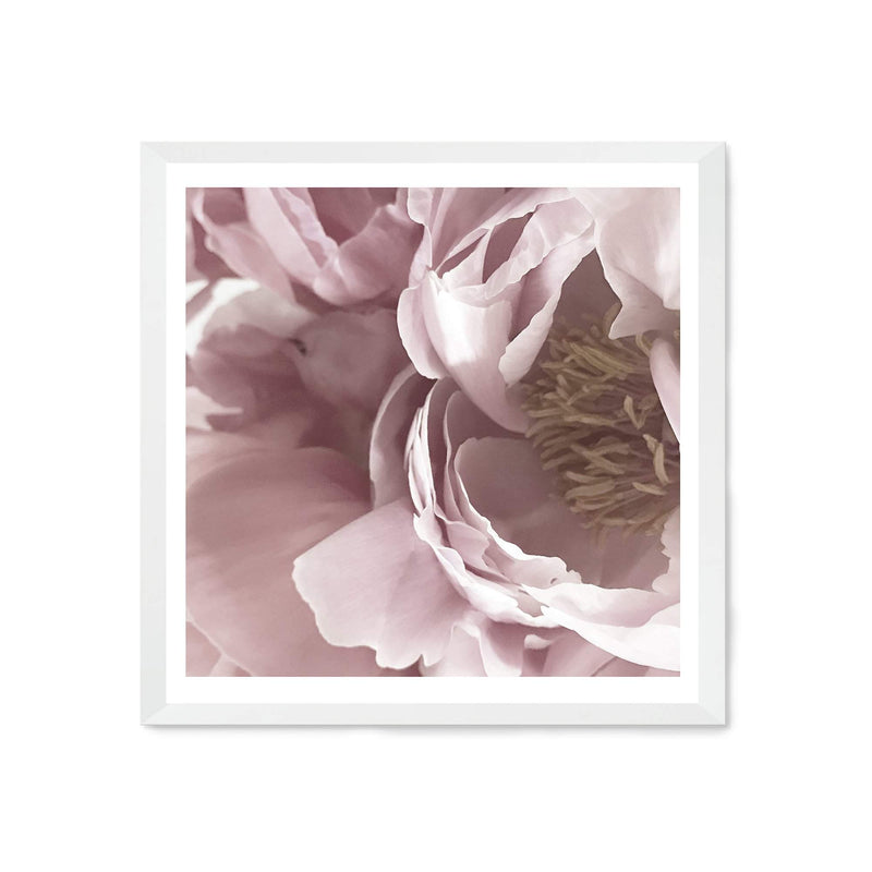 Dusty Pink Peonies Square-The Paper Tree-Art Print,art prints,Artwork,floral,flower,framed,peonies,peonies flower,peony,pink,premium art print,square,wall art,Wall_Art,Wall_Art_Prints,white